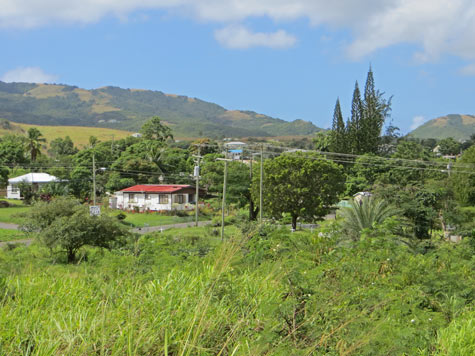 Antigua Countryside