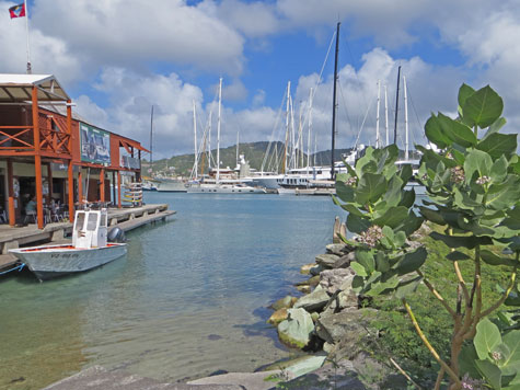 Antigua Yacht Club Marina